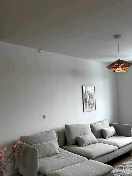 Gemuetliche Wohnung In Malente Mit Dachterrasse Dış mekan fotoğraf